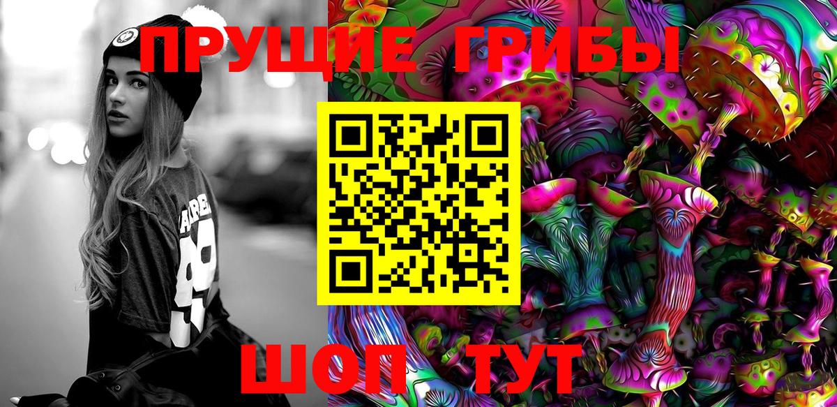 Галлюциногенные грибы ЛСД Каменка